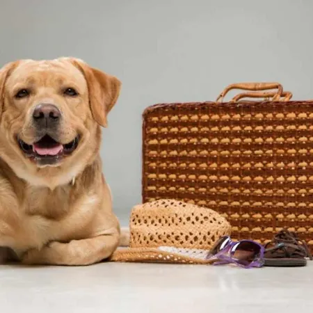 Дом отдыха Casa Hortensias Hoznayo *