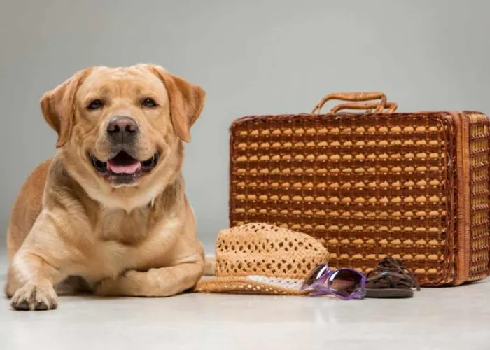 Dom wakacyjny Casa Hortensias Hoznayo *